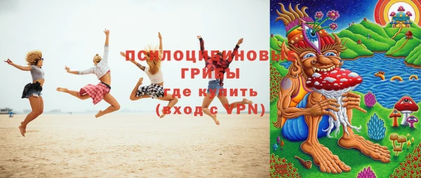 хмурый Алексеевка