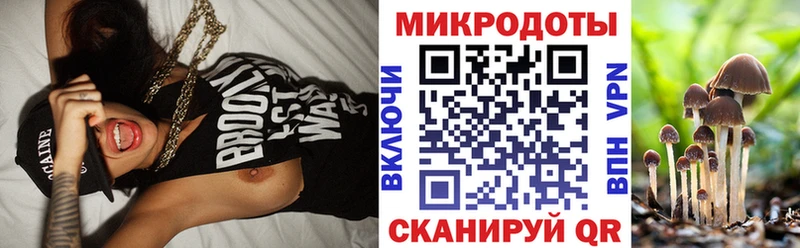 наркошоп Дмитров мега как зайти Галлюциногенные грибы MAGIC MUSHROOMS